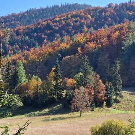 Akra Daire Zakopane Dış mekan fotoğraf