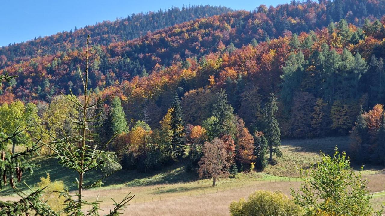 Akra Daire Zakopane Dış mekan fotoğraf