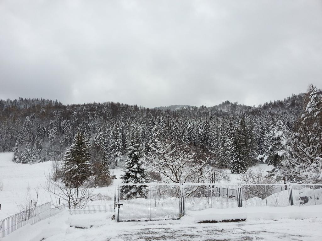 Akra Daire Zakopane Dış mekan fotoğraf
