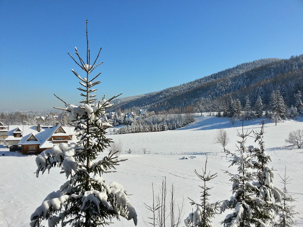 Akra Daire Zakopane Dış mekan fotoğraf